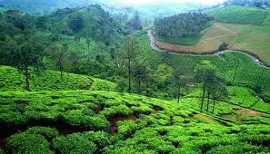 Kottayam