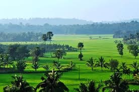 Palakkad