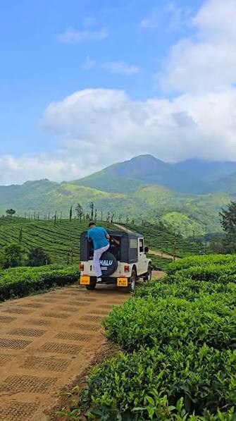 Wayanad nature and hill scenery